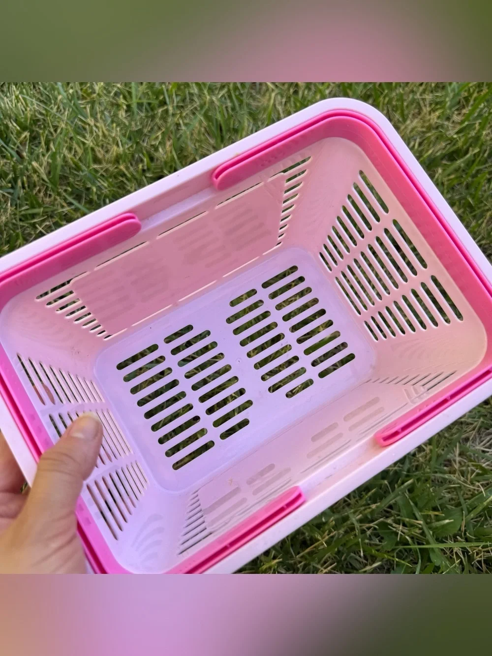 Sanrio Hello Kitty My Melody Pastel Pink Kawaii Mini Storage Shopping Basket